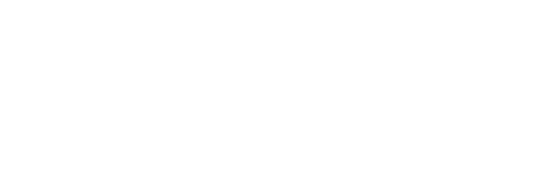 ViennaRide